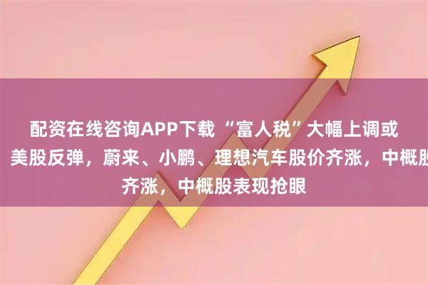 配资在线咨询APP下载 “富人税”大幅上调或虚惊一场!美股反弹,蔚来、小鹏、理想汽车股价齐涨,中概股表现抢眼