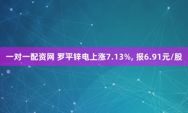 一对一配资网 罗平锌电上涨7.13%, 报6.91元/股