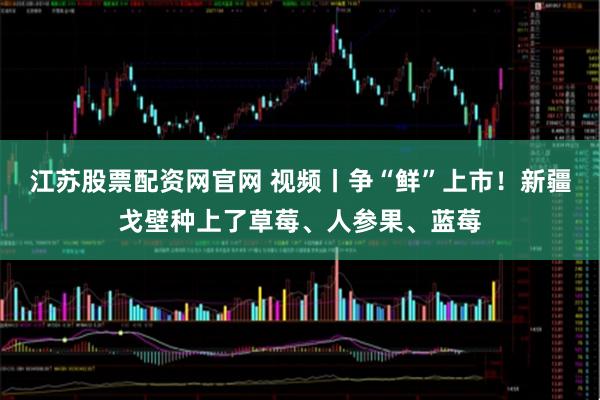 江苏股票配资网官网 视频丨争“鲜”上市！新疆戈壁种上了草莓、人参果、蓝莓