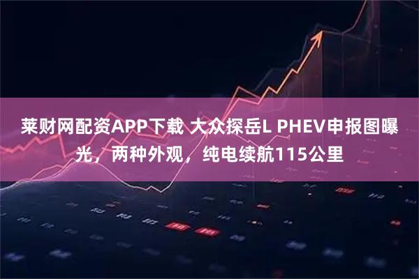 莱财网配资APP下载 大众探岳L PHEV申报图曝光，两种外观，纯电续航115公里