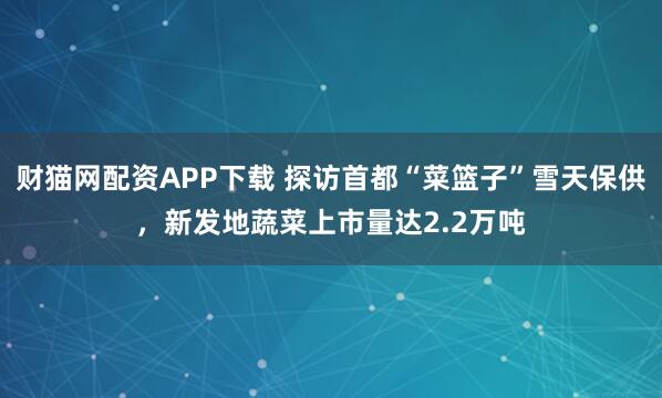 财猫网配资APP下载 探访首都“菜篮子”雪天保供，新发地蔬菜上市量达2.2万吨